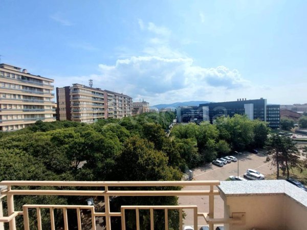 appartamento in vendita a Torino in zona Borgo San Paolo