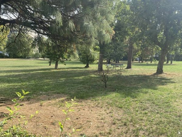 appartamento in vendita a Torino in zona Falchera