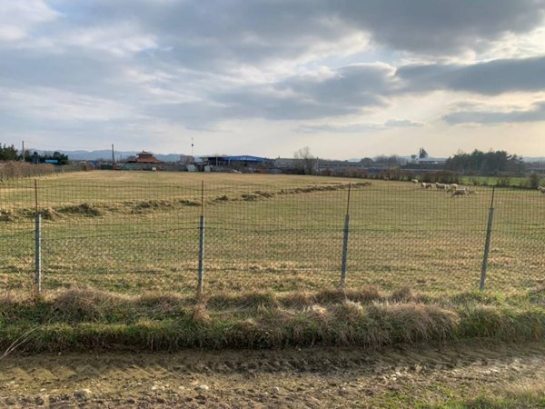 terreno edificabile in vendita a Torrazza Piemonte
