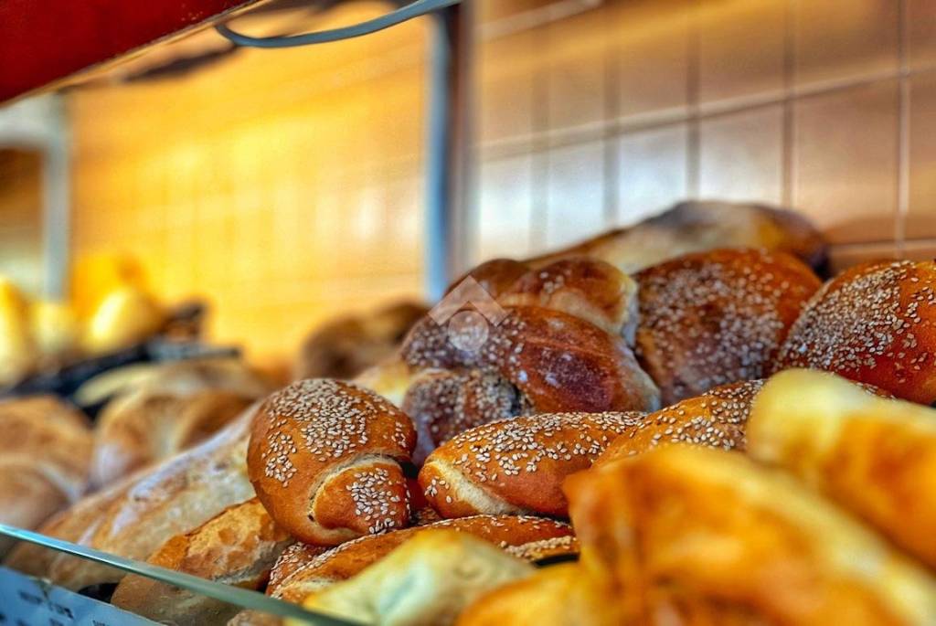 negozio in vendita a Torrazza Piemonte