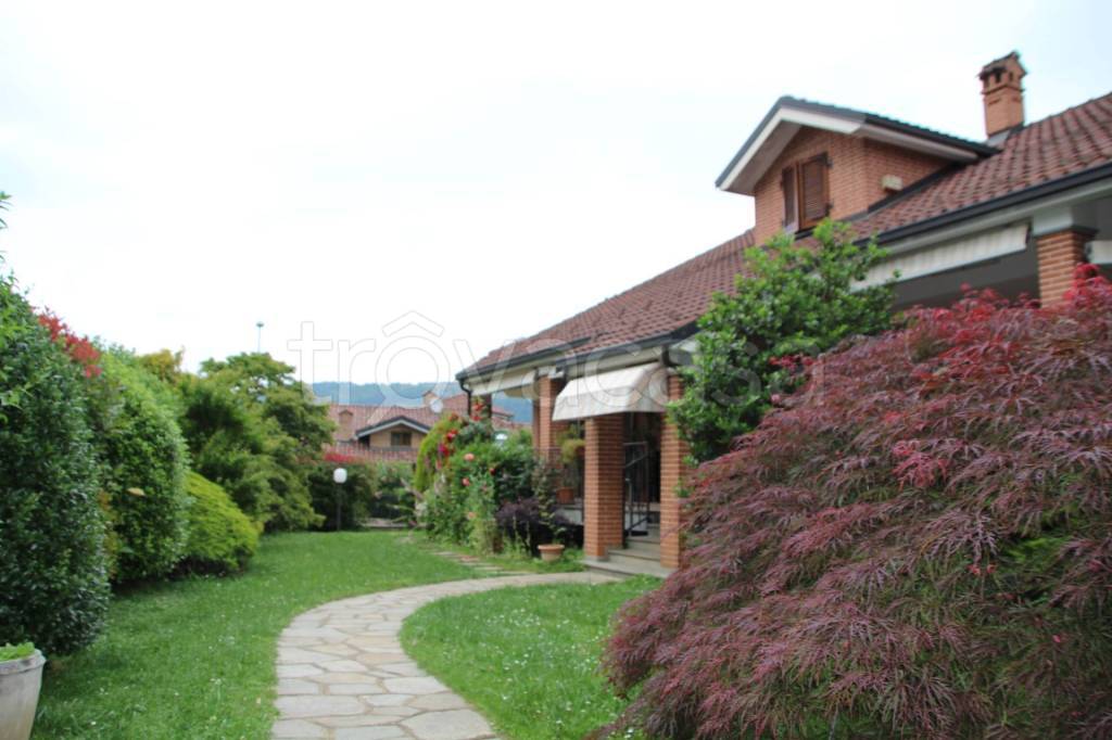 immagine annuncio 0 di 15