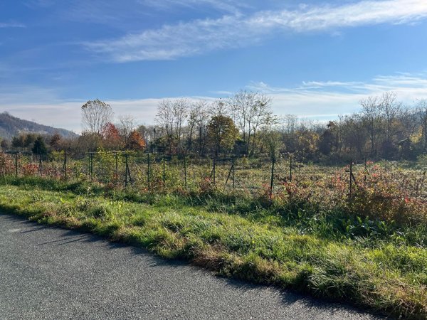 terreno agricolo in vendita a Trana