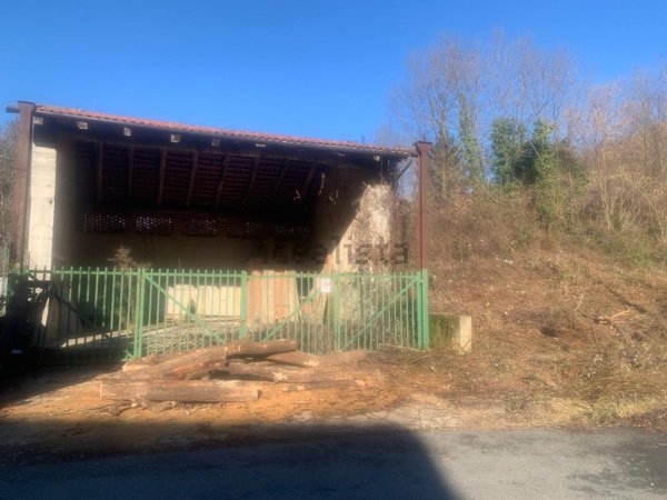 casa indipendente in vendita a Trana