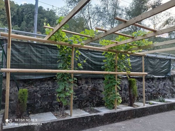 casa indipendente in vendita a Traves