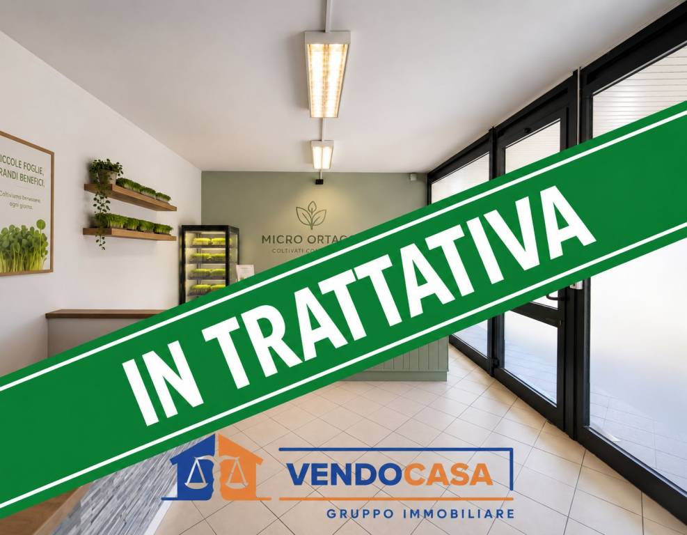 immagine annuncio 0 di 12