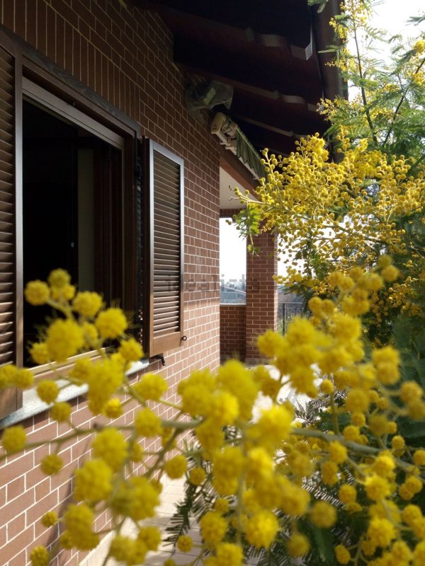 casa indipendente in vendita a Val della Torre
