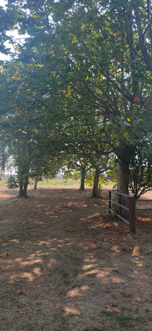 appartamento in vendita a Valperga