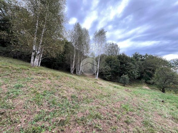 terreno agricolo in vendita a Varisella in zona Ramai