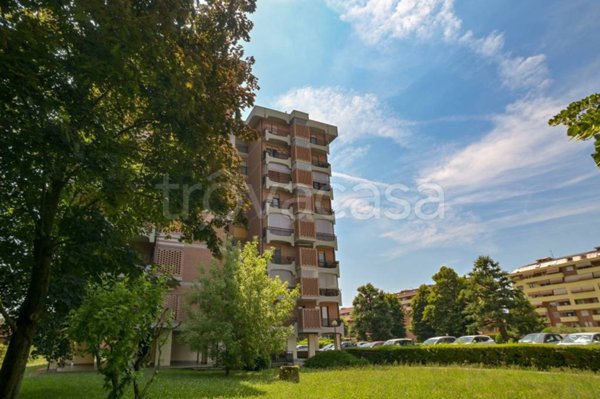 immagine annuncio 0 di 15