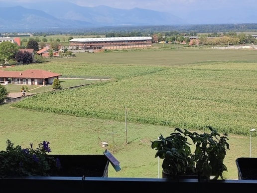 appartamento in vendita a Venaria Reale