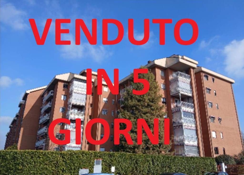appartamento in vendita a Venaria Reale