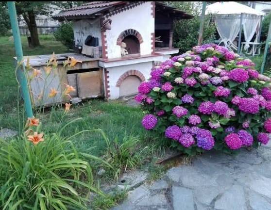 casa indipendente in vendita a Verolengo in zona Arborea