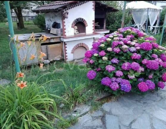 casa indipendente in vendita a Verolengo in zona Arborea