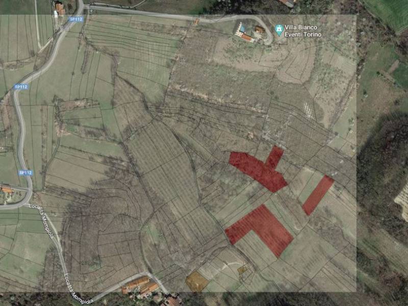 terreno agricolo in vendita a Verrua Savoia