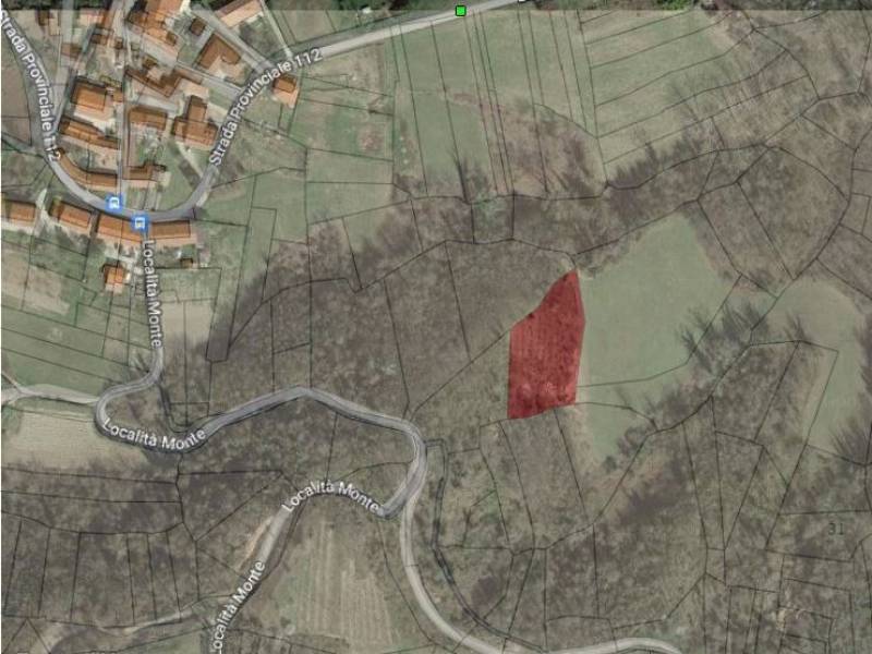 terreno agricolo in vendita a Verrua Savoia