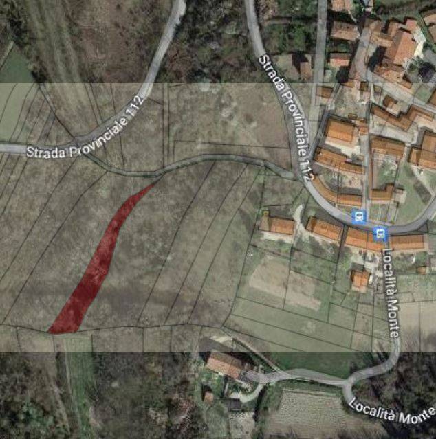 terreno agricolo in vendita a Verrua Savoia
