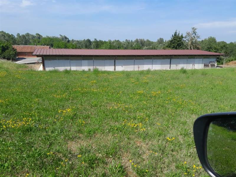 azienda agricola in vendita a Verrua Savoia