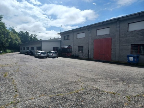 terreno agricolo in vendita a Vestignè