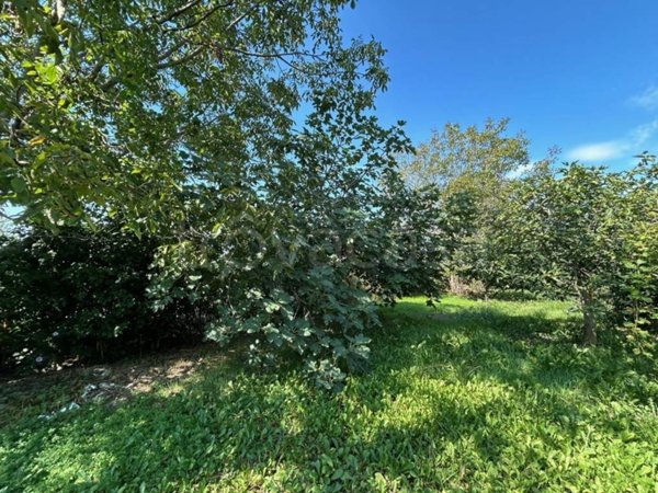 locale di sgombero in vendita a Vigone