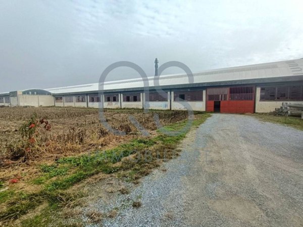 locale commerciale in vendita a Vigone