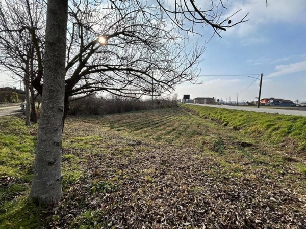 terreno agricolo in vendita a Vigone