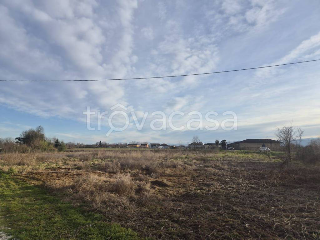 terreno edificabile in vendita a Vigone