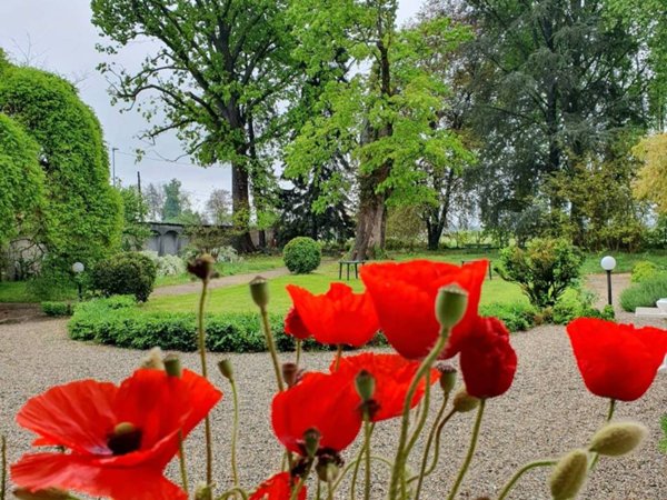 casa indipendente in vendita a Villafranca Piemonte