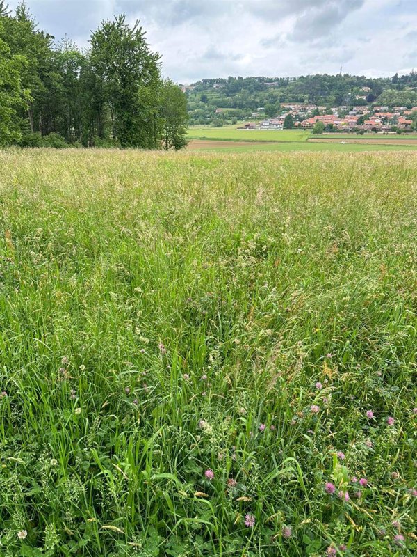 terreno agricolo in vendita a Villarbasse