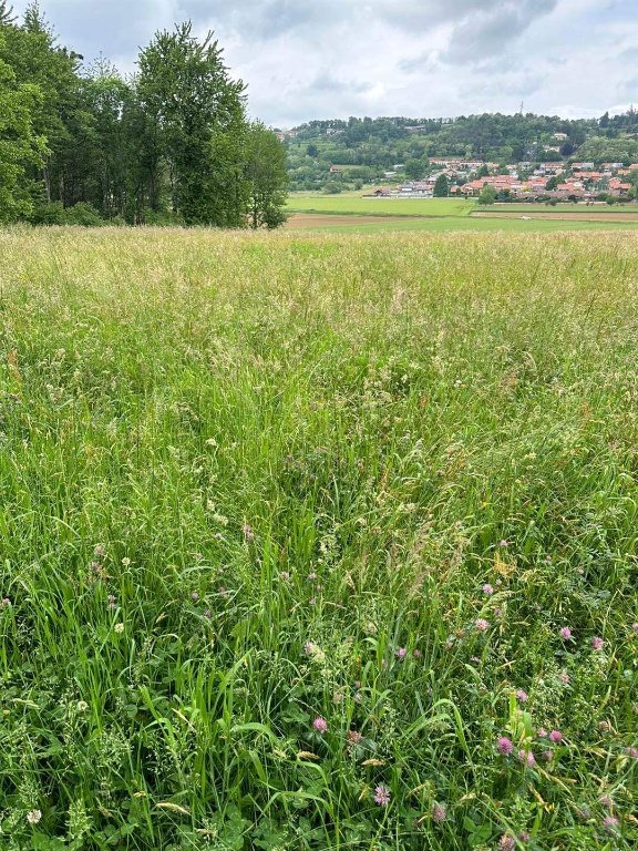 terreno agricolo in vendita a Villarbasse