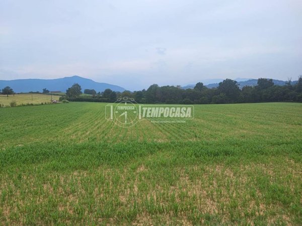 terreno agricolo in vendita a Villarbasse in zona Roncaglia