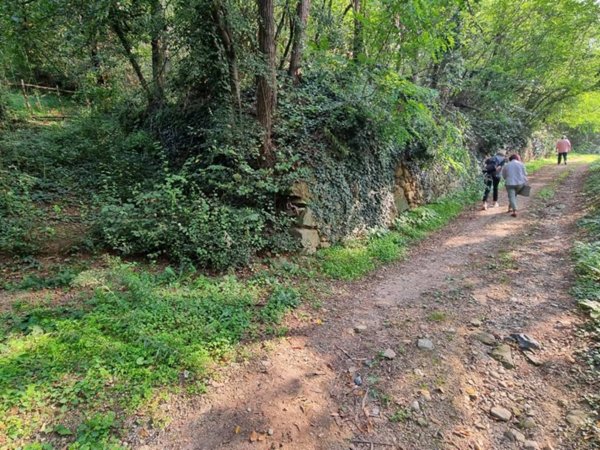 terreno agricolo in vendita a Villarbasse