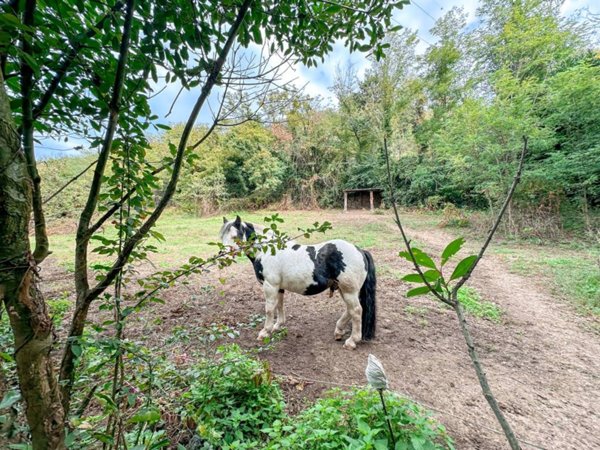 terreno agricolo in vendita a Villarbasse