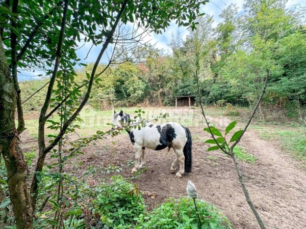 terreno agricolo in vendita a Villarbasse