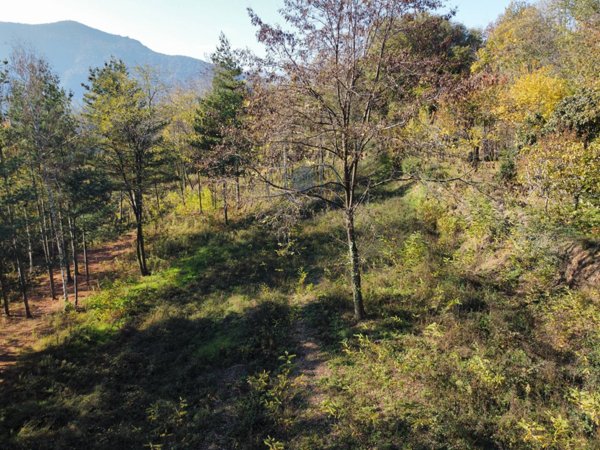 terreno agricolo in vendita a Villarbasse
