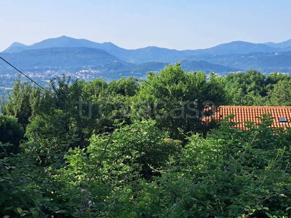 terreno agricolo in vendita a Villar Dora in zona Cordonatto