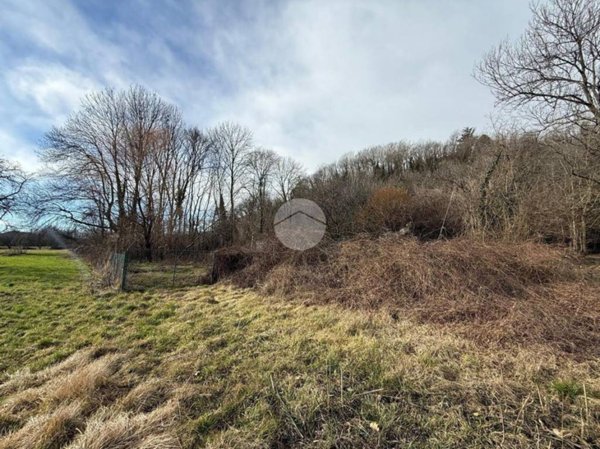 terreno agricolo in vendita a Villar Dora