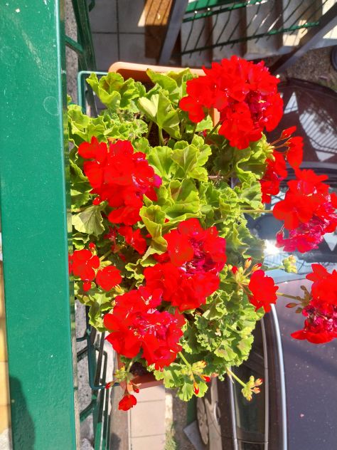 casa indipendente in vendita a Villar Dora