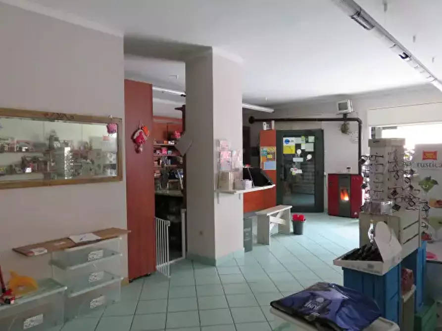 negozio in vendita a Villar Pellice