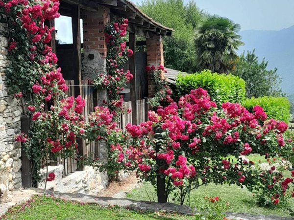 negozio in vendita a Villar Pellice