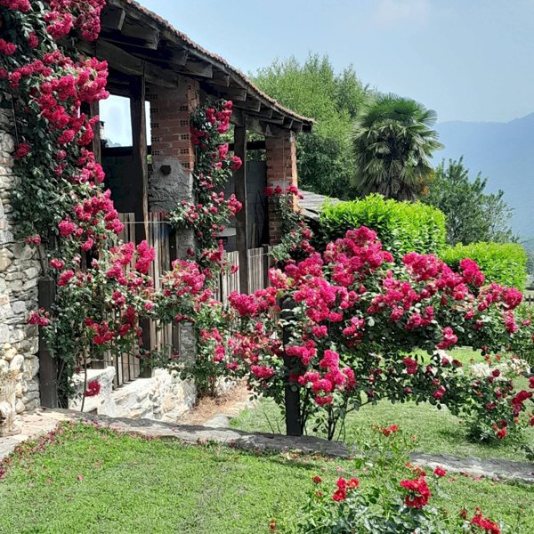 locale commerciale in vendita a Villar Pellice