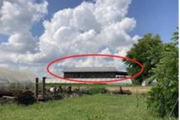 pentavano in vendita a Villastellone in zona Tetti Mauriti