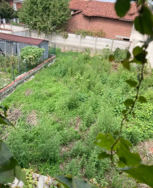 casa indipendente in vendita a Villastellone