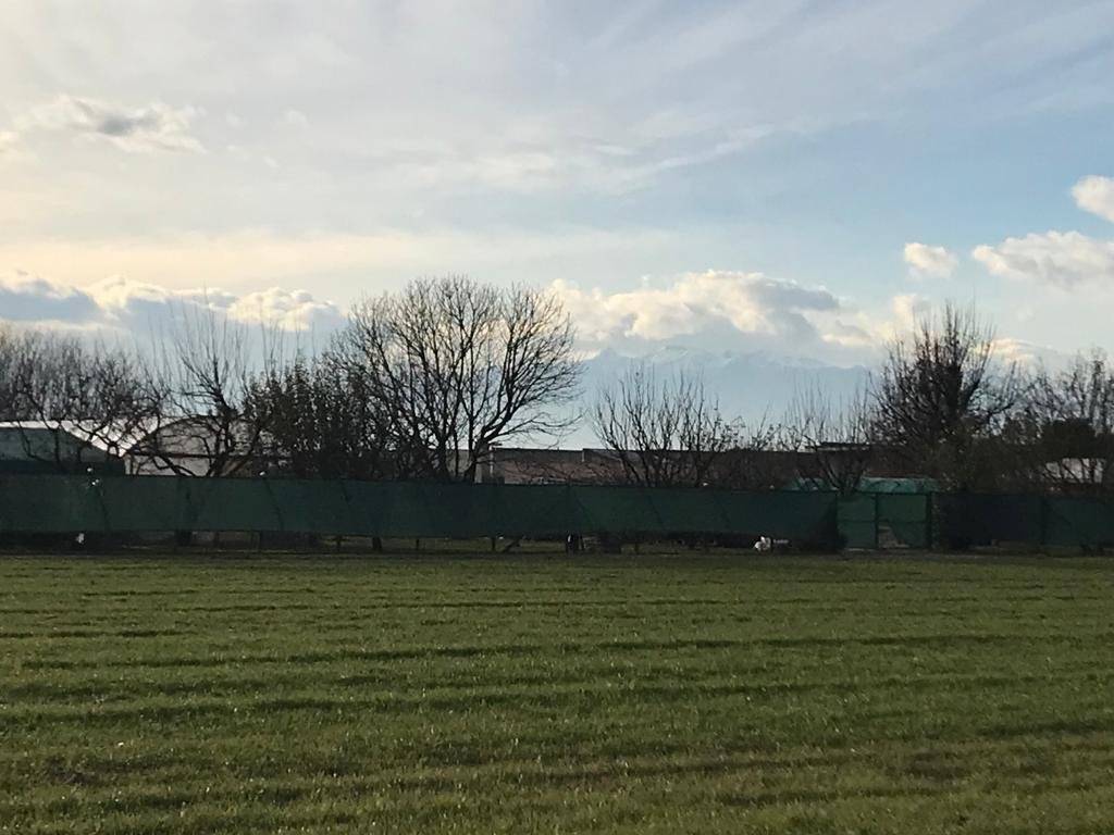 terreno agricolo in vendita a Vinovo