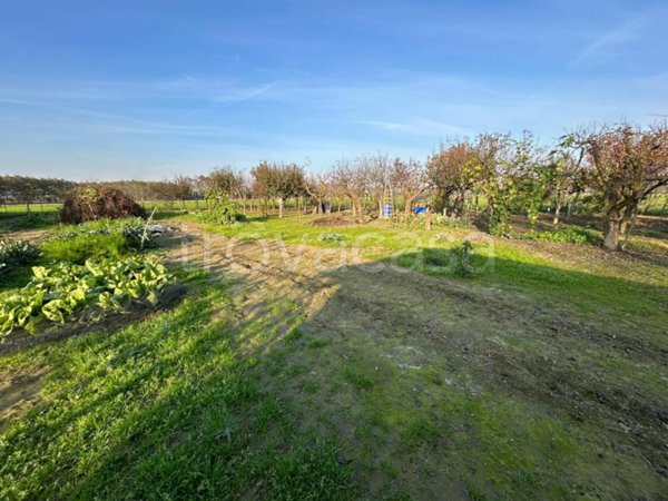 terreno agricolo in vendita a Vinovo