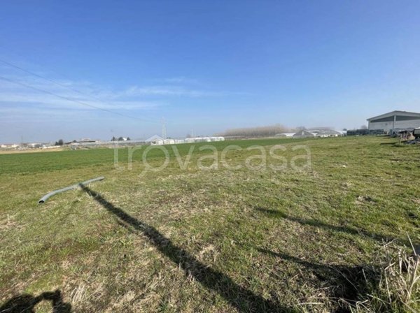 terreno agricolo in vendita a Vinovo