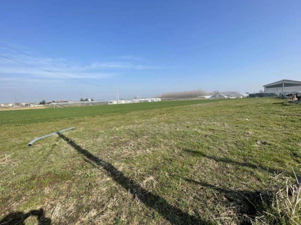 terreno agricolo in vendita a Vinovo