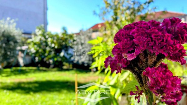 casa indipendente in vendita a Vinovo