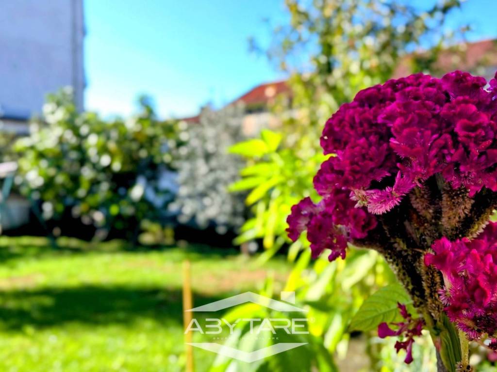 casa indipendente in vendita a Vinovo