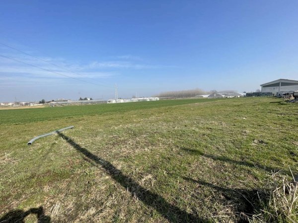 terreno agricolo in vendita a Vinovo
