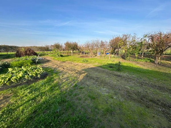 terreno agricolo in vendita a Vinovo in zona Tetti Rosa